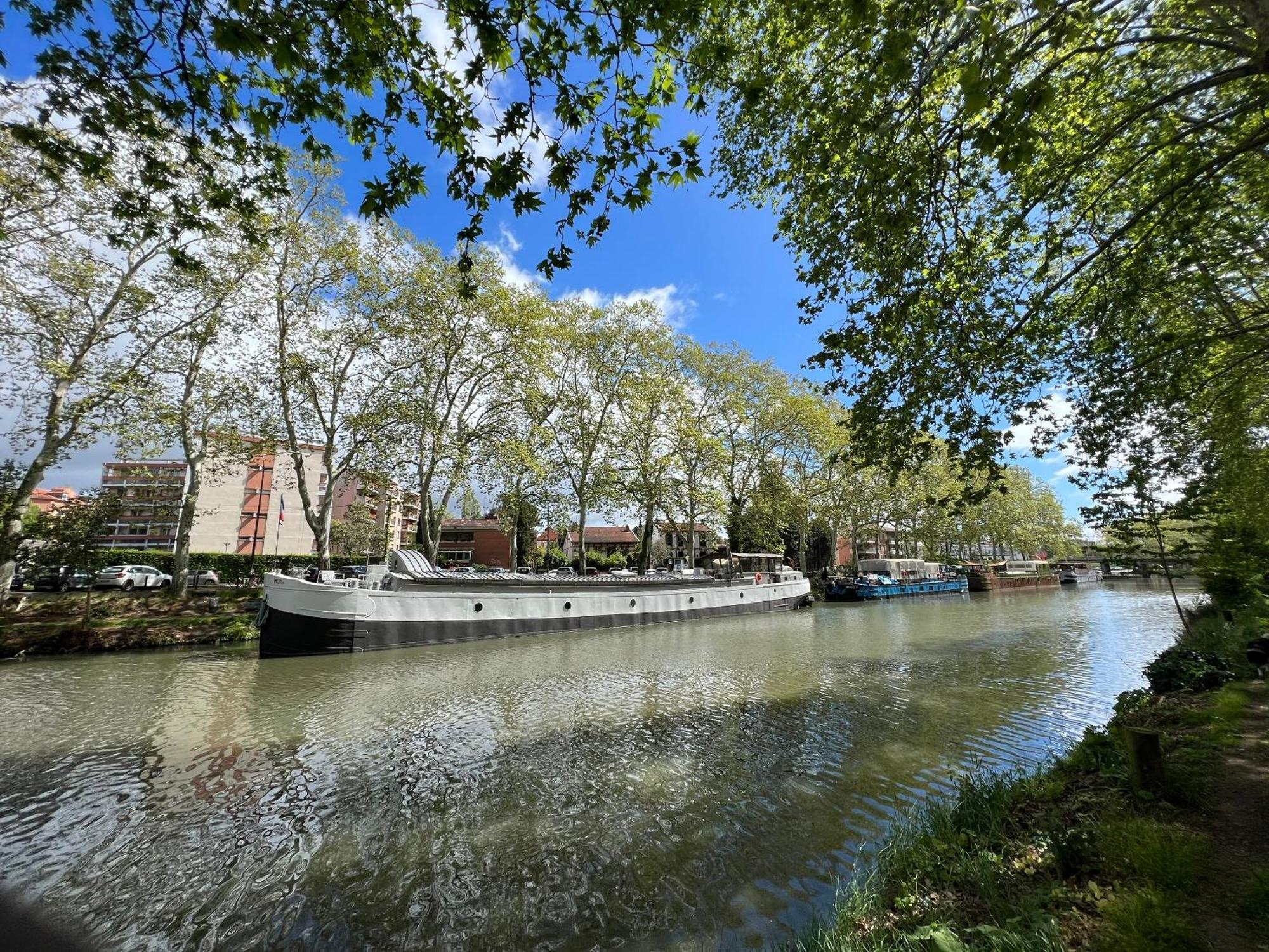 Sunset Duplex - Grand-Rond, Jardin Des Plantes, Centre-Ville, 2 Bdrs 60M2, Ac, Free Public Car Park 200M Away, Netflix - T3 60M2 Avec Clim, Parking Public Gratuit A 200M Toulouse Exterior foto